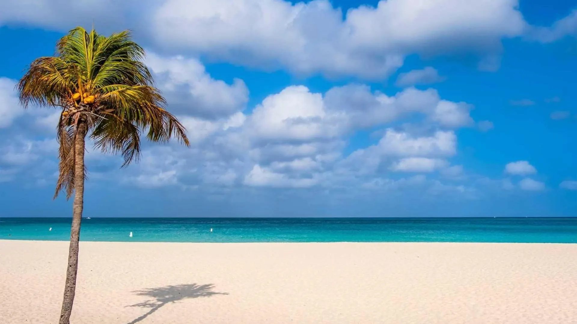 Beach View - Seascape Retreat 2Br Condo - Lv605 팜비치 아루바