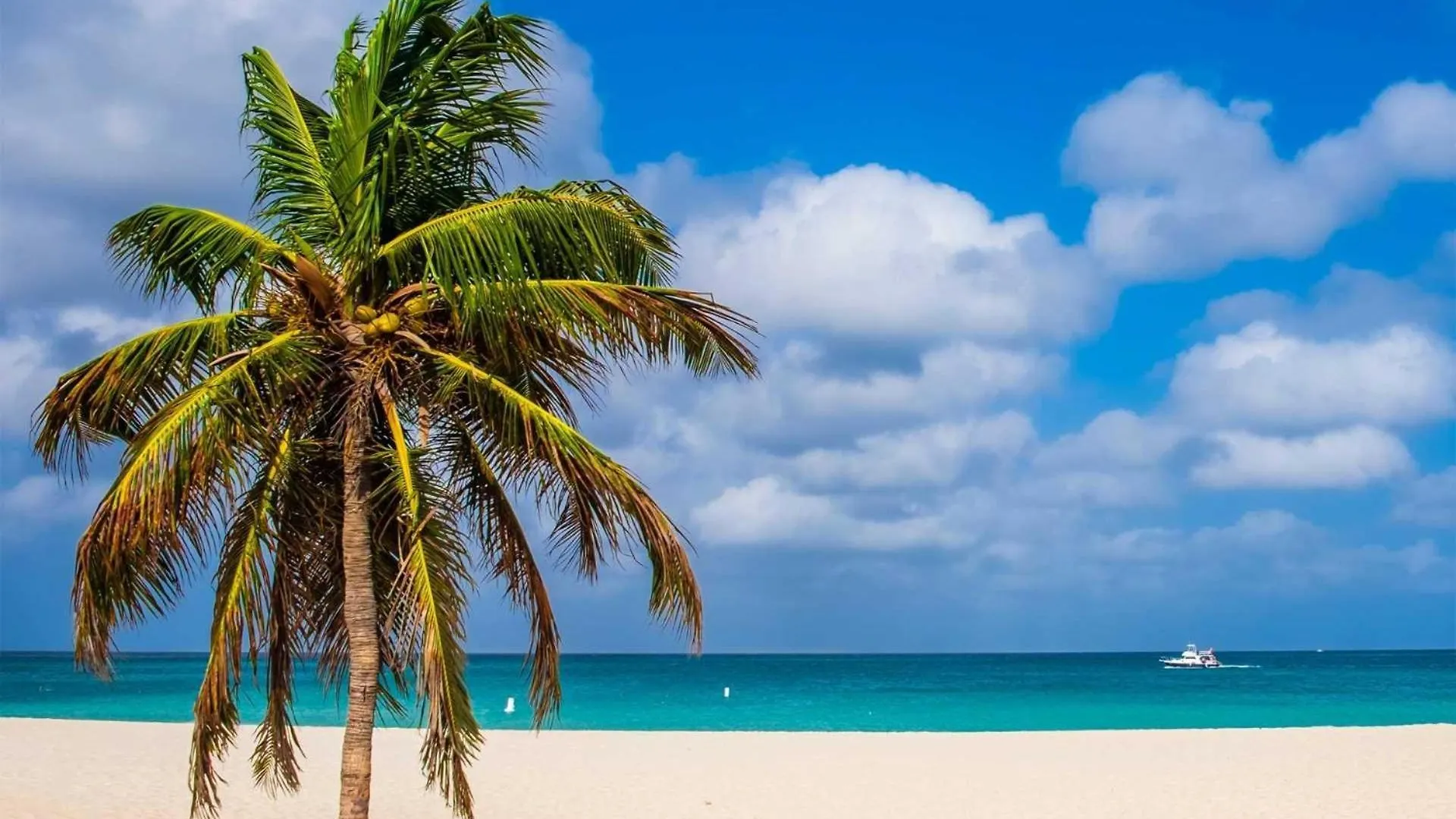Beach View - Seascape Retreat 2Br Condo - Lv605 Palm Beach